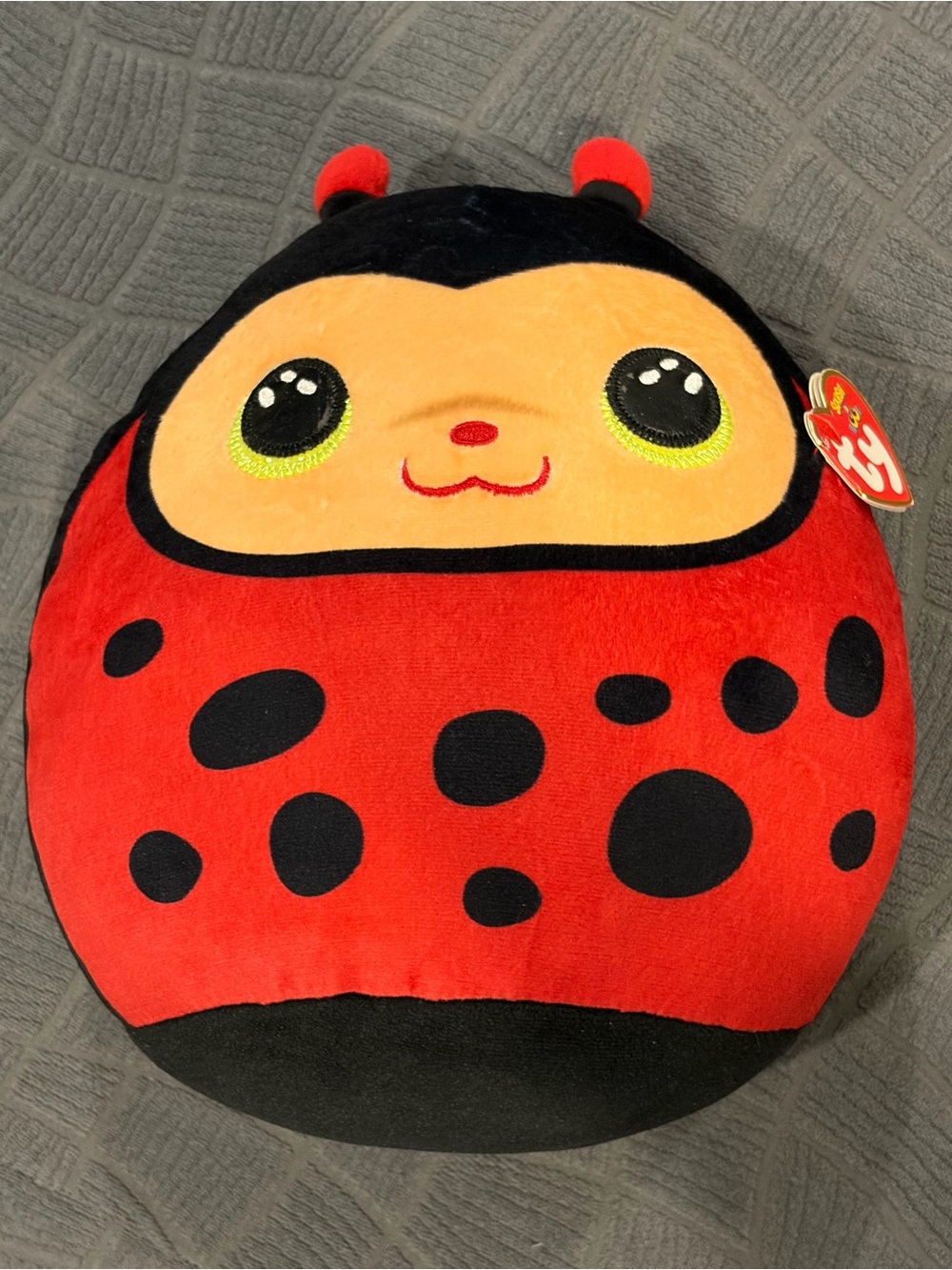 2021 Ty Squish A Boos Lady Bug Izzy